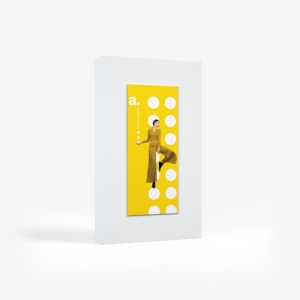 adFrame STFL 100x250