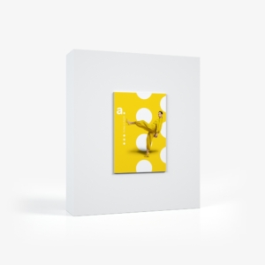 adFrame STFL B1 70x100