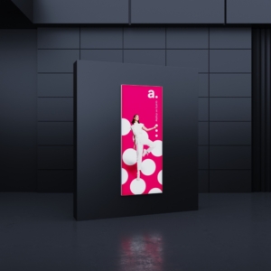 adFrame Poster 100x250